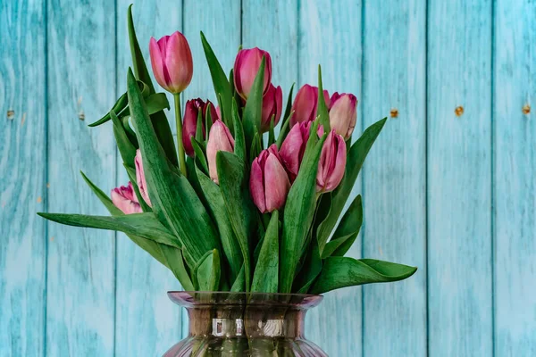 Krásné Jarní Dekorace Růžové Fialové Tulipány Skleněném Trezoru Čerstvé Tulipán Stock Fotografie