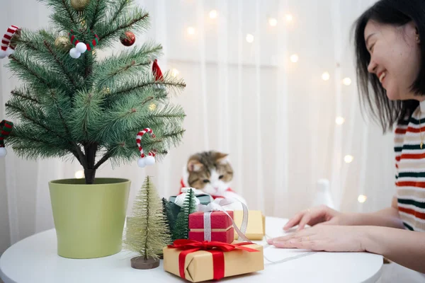 Asiatin Schmückt Weihnachtsbaum Und Kleidet Ihre Katze Mit Weihnachtsmotiv — Stockfoto