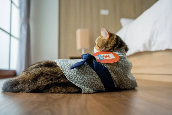 Viaje Japón Concepto Con Escocés Gato Desgaste Japón Estilo Tela — Foto de Stock