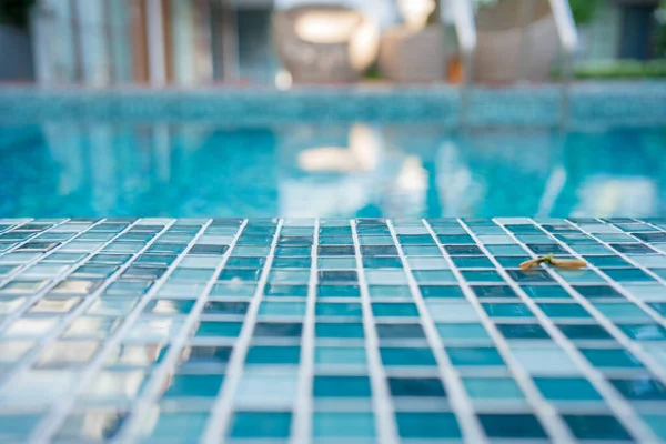 stock image summer travel with side of swimming pool with tropical flower