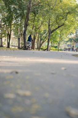 Parkta sırt çantasında kedisiyle bisiklet süren Asyalı bir kadın.