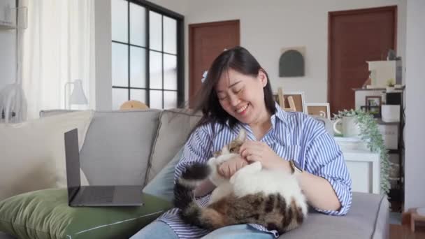 Azji Kobieta Pracuje Domu Grać Woth Jej Kot — Wideo stockowe