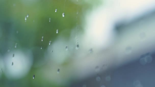 柔らかい雨の背景を持つ窓に雨が降る — ストック動画