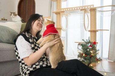 Asyalı kadın, İskoç kedisiyle derorate Noel 'inde ve yeni yılda oturma odasında oynuyor.