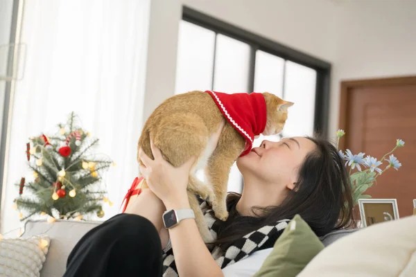 Mujer Asiática Jugar Con Británico Gato Durante Derorate Navidad Año — Foto de Stock