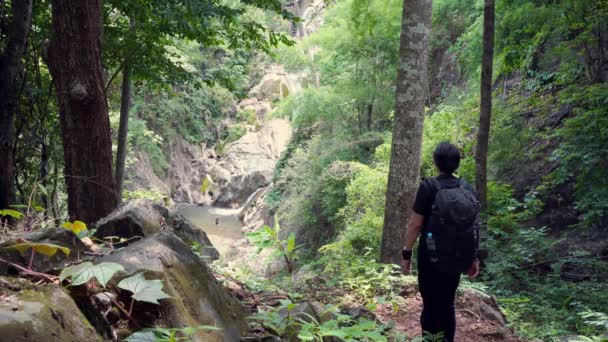 Conceito Atividade Pessoas Com Homem Asiático Caminhadas Ver Cachoeira Floresta — Vídeo de Stock