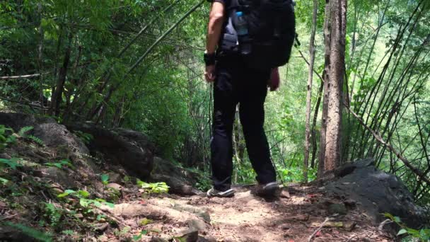 活動コンセプト アジア ハイキング 熱帯林 — ストック動画