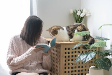 Asyalı kadınla kedi bakımı konsepti kitap okumak ve evde İskoç tekir kedisiyle oynamak
