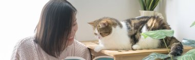 Asyalı kadınla internet afişi kedi bakım konsepti kitap okumak ve evde İskoç tekir kedisiyle oynamak