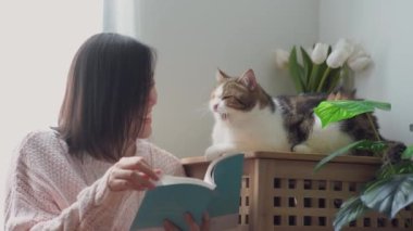 İnsanlar ve Asyalı kadınla evcil hayvan konsepti kitap okuyup İskoç kedisiyle oynuyorlar. 