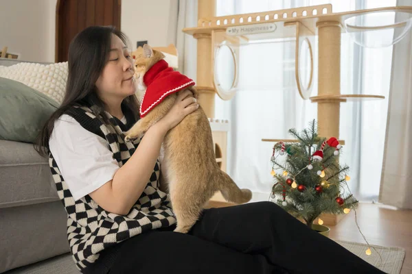 Asyalı kadın, İskoç kedisiyle derorate Noel 'inde ve yeni yılda oturma odasında oynuyor.