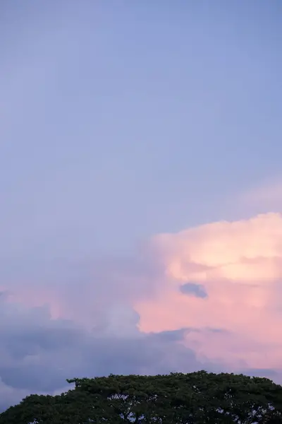 Conceito Natureza Paisagem Com Céu Crepúsculo Com Grande Árvore Nuvem — Fotografia de Stock