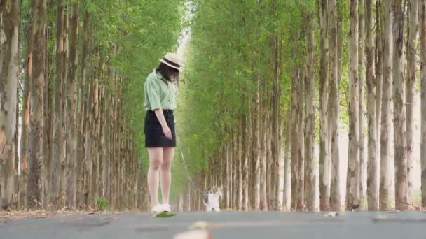 Люди Концепции Деятельности Азиатской Женщиной Кошкой Счастливое Чувство Стоять Ходить — стоковое видео