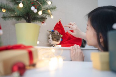 Asyalı kadın Noel ağacını süslüyor ve kedisine Noel teması takıyor.