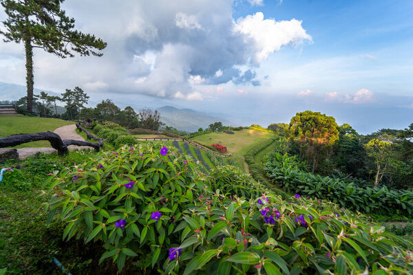 ландшафтно-туристическая концепция с цветочным и облачным небом на фоне горного слоя