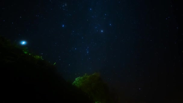 Seyahat Insanlar Gece Yıldızla Etkinlik Kavramı Dağdaki Ağaçla — Stok video