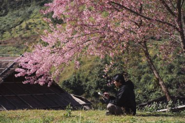 seyahat ve iş konsepti yalnız başına çalışan bir adam kiraz ağacının altında oturur ve dağ zemininde tablet kullanır.