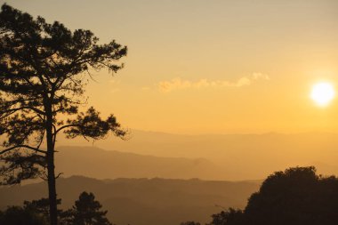 seyahat ve insan faaliyeti kavramı dağ ve bulutlu arka plan katmanlı büyük çam ağacı ile