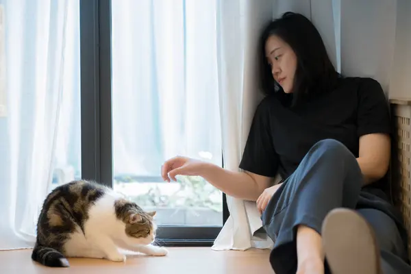 wellness and wellbeing concept with asian woman sit and play with her cat in livingroom