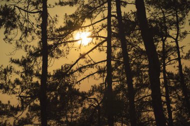 Günbatımı ve alacakaranlık gökyüzü ve dağ katmanıyla manzara ve seyahat kavramı