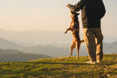 Doğa tek başına seyahat eden bir adam köpekle oynar ve dağ tabakasıyla güneşin doğuşunu seyreder.