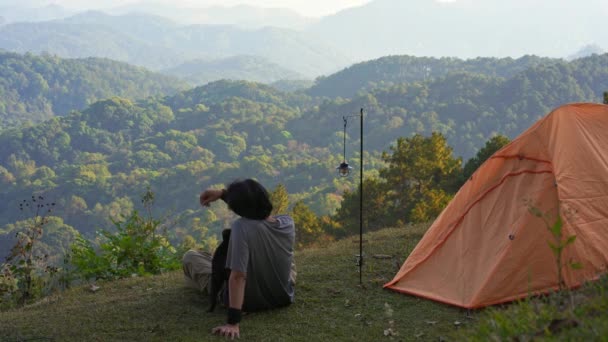 単独のフリーランサーの男キャンプの仕事屋外と山の背景の層が付いている猫との風景そして旅行の概念 — ストック動画
