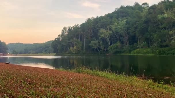 Lac Forêt Avec Fond Montagne — Video