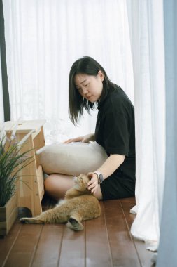 Kitap okurken ve oturma odasında İngiliz kedisiyle oynarken ev sahibiyle evcil hayvan bakımı kavramı