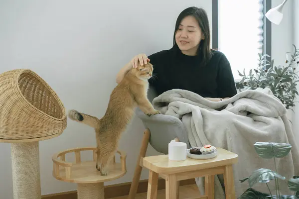 pet care concept with owner during read book and take coffee break in livingroom