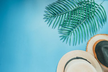 Pastel mavi arka plan üzerinde palmiye ve tropikal yaprak ağacı ve plaj şapkası ile yaz mevsimi konsepti ve kopyalama alanı