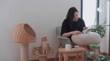 Kitap okurken evcil hayvan bakımı kavramı ve kahve molası ve oturma odasında kediyle oynamak.