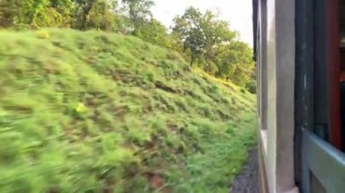 Tren hareket ediyor ve pencereden geçen dağ ve tropikal ağacı görüyor.