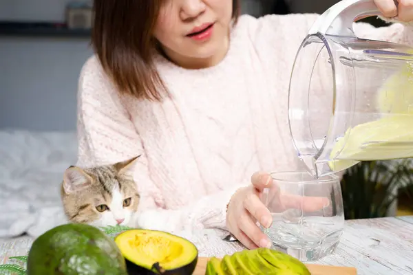 Avokado kokteyli yapan ve kedisiyle oynayan bir kadınla sağlıklı beslenme ve yaşam tarzı.