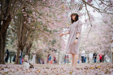 İlkbahar, Asyalı kadın ve kedisini bir yolculuğa çıkarır.