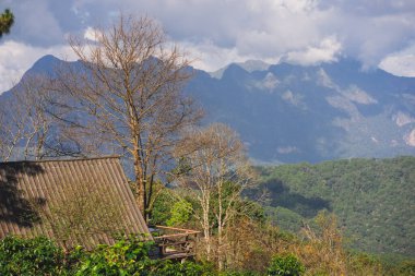 Güneş ışığıyla manzara ve seyahat kavramı ve bulutlu gökyüzü ve dağdaki kır evi.