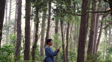 dağdaki tropikal ormanlarda yürüyüş ve insan aktiviteleri kavramı 