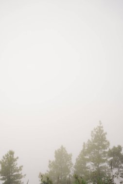 travel and people activity concept with twilight sky before sunrise with mountain and fog on foreground