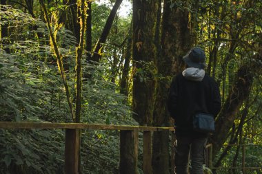 seyahat ve insanların aktivite konsepti Asyalıların dağdaki tropikal ormanda yürüyüş yapmalarıdır.