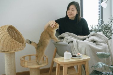 Kitap okurken evcil hayvan bakımı konsepti ve oturma odasında kahve molası.