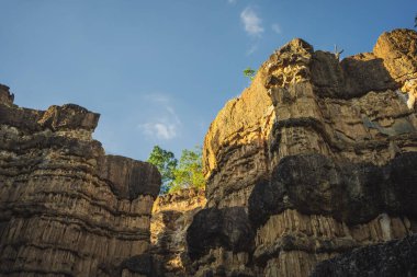 seyahat ve insanlar tropikal ormanda dağ ve kaya ile aktivite kavramı