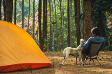 Asyalı bir adamla kamp yapmak ve bahar mevsiminde güneşin doğuşuyla birlikte pembe kiraz ağacı ve çam ağacı görmek.