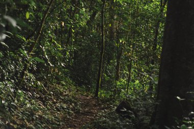 travel and people activity concept with twilight sky before sunrise with mountain and fog on foreground