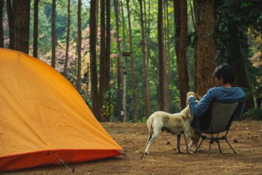Asyalı bir adamla kamp yapmak ve bahar mevsiminde güneşin doğuşuyla birlikte pembe kiraz ağacı ve çam ağacı görmek.