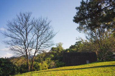Güneş ışığıyla manzara ve seyahat kavramı ve bulutlu gökyüzü ve dağdaki kır evi.