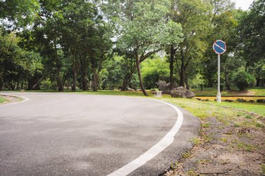 Yaz mevsiminde parkta ağaçla sağlık konsepti