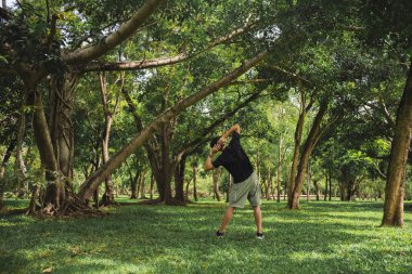 Yaz mevsiminde parkta ağaçla sağlık konsepti