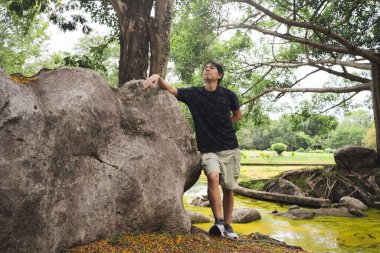 Yaz mevsiminde parkta ağaçla sağlık konsepti