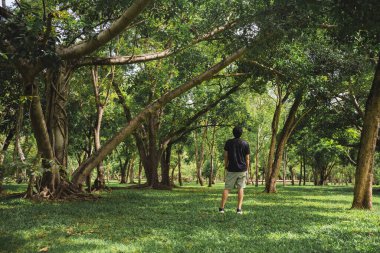 Yaz mevsiminde parkta ağaçla sağlık konsepti