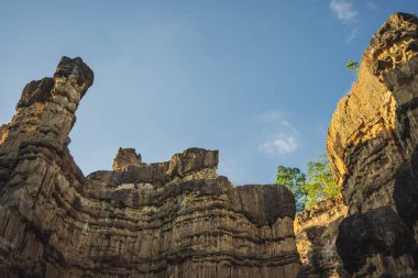 seyahat ve insanlar tropikal ormanda dağ ve kaya ile aktivite kavramı