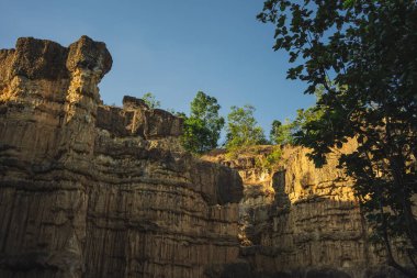 seyahat ve insanlar tropikal ormanda dağ ve kaya ile aktivite kavramı